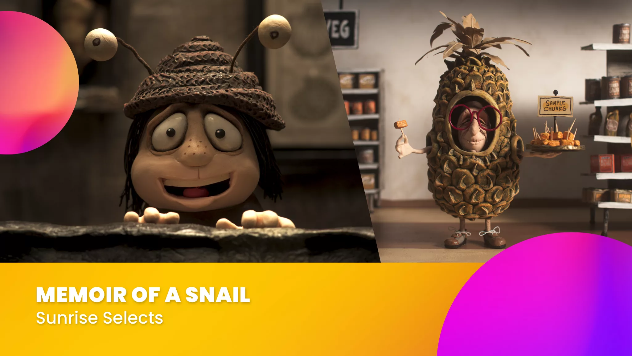 Memoir of A Snail (15)